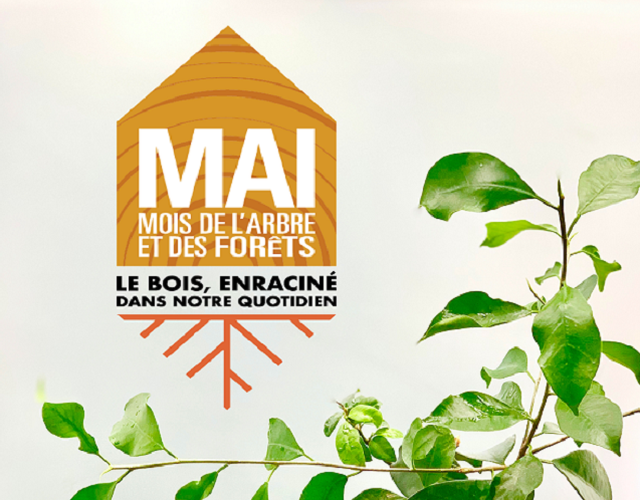 Activité de don d'arbre et distribution de compost - 20 mai 2023