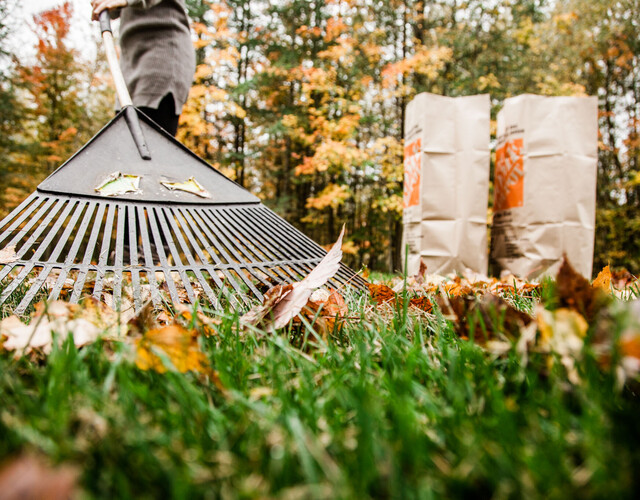 Surplus de feuilles