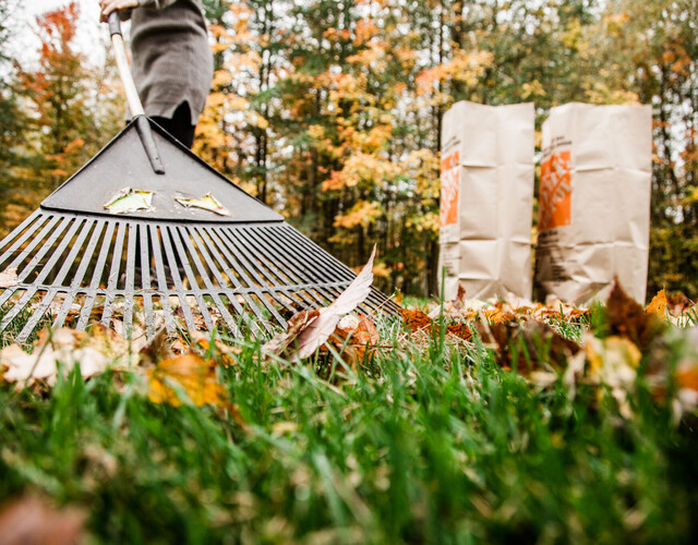 Distribution de sacs de papier pour la collecte des feuilles